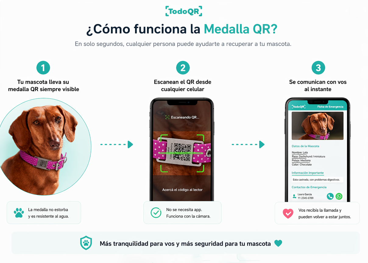 Como funciona Mascotas